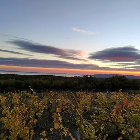 Napraszallas Vendeghaz * Balatonakali