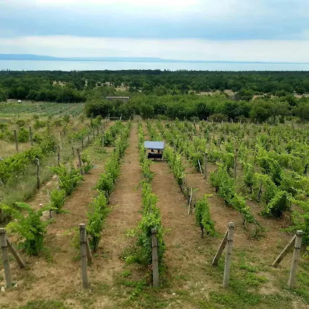 Napraszallas Vendeghaz Balatonakali