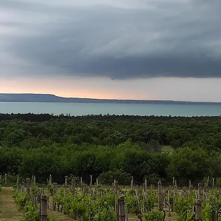 Napraszállás Affittacamere Balatonakali