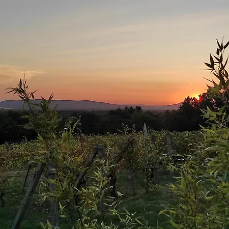 Napraszallas Vendeghaz Guest house